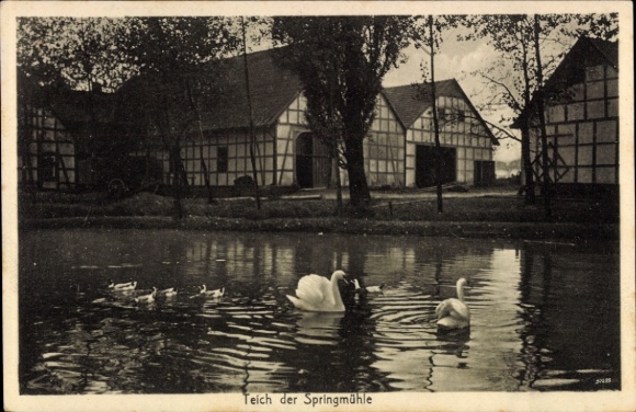 Ak Bad Rothenfelde am Teutoburger Wald, Teich der Springmühle, Schwäne im Wasser, Fachwerkhäuser 