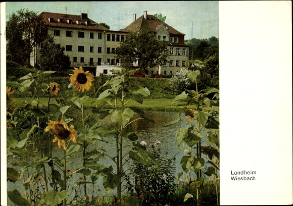 PC Wiesbach Eppelborn in Saarland, Landheim, home for mothers, sunflowers