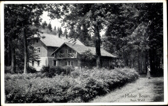 Ak Neukirchen b. Hl. Blut, Hoher Bogen, Haus im Wald