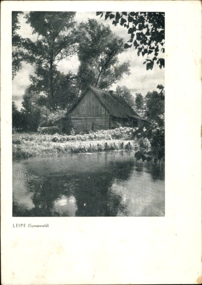 Ak Leipe Lübbenau im Spreewald, Schwarzes Wasser, Holzhütte, natürliche Umgebung