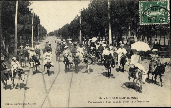 Postcard Les Sables d'Olonne Vendée, Promenade a Anes dans la Foret de la Rudeliere