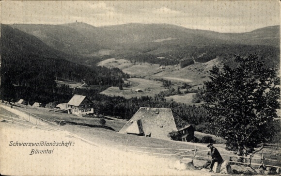 Ak Bärental Feldberg im Schwarzwald, Schwarzwaldlandschaft,  Landschaft mit Hütten, Bäume, Berge
