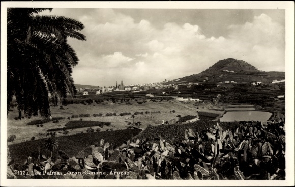 From Las Palmas de Gran Canaria Canary Island, Arucas