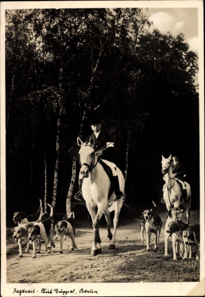 Photo Postcard Berlin Zehlendorf Nikolassee, Jagdreitclub Düppel, hunting dogs
