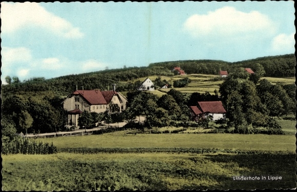 Ak Linderhofe Extertal in Lippe, Panorama