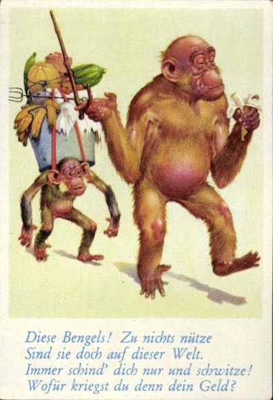 Collector's picture funny pictures No. 46, orangutan, chimpanzee carries vegetables