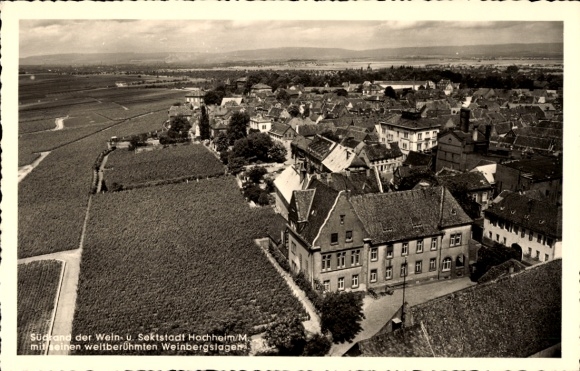 Ak Hochheim am Main, Südrand, Weinberge, Luftbild