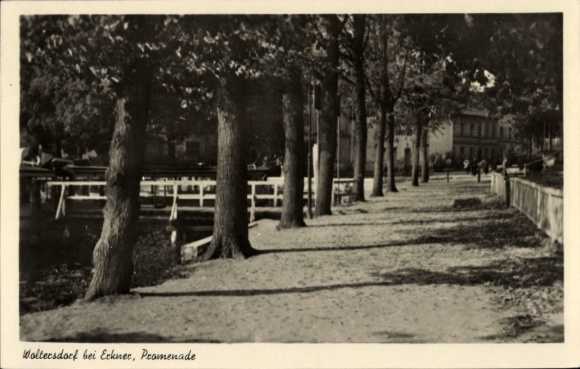 Ak Woltersdorf bei Berlin, Promenade am Wasser, Bäume, Gebäude im Hintergrund, Schwarz-Weiß-Foto
