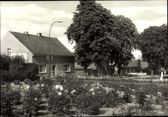 Ak Klausdorf am Mellensee Brandenburg, Dorfaue