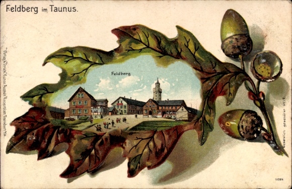 Oak leaf litho Niederreifenberg Schmitten im Taunus, Großer Feldberg