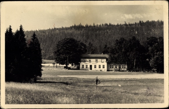 Postcard Elterlein in the Ore Mountains, Finkenburg, forest