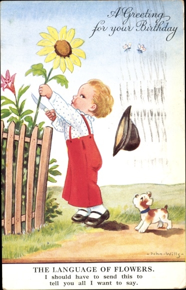 Artist Postcard Wills, John, Happy Birthday, Boy Cuts Sunflower