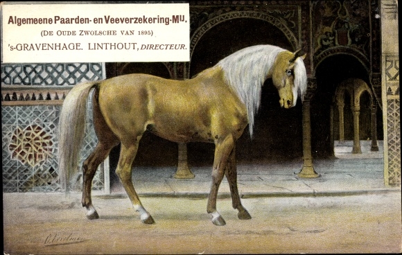 Postcard &#39;s Gravenhage The Hague Südholland, Algemeene Paarden en Veeverzekering Mij., Advertising