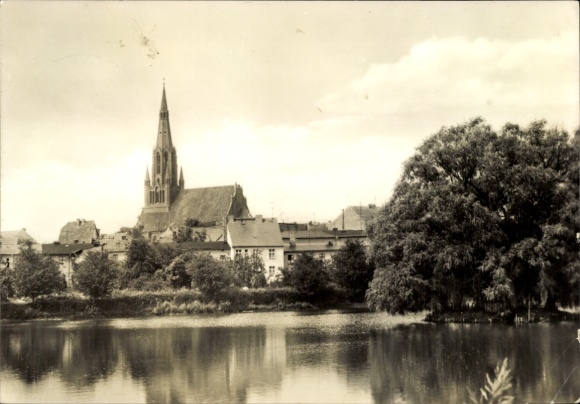 Ak Demmin in West-Pommeren, zwanenvijver, Sint-Bartholomeuskerk, water, bomen, lucht