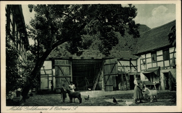 Ak Goldhausen Ostrau in Sachsen, Mühle Goldhausen, Rittergut