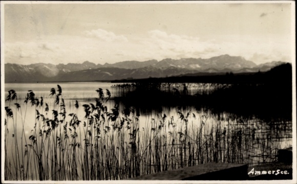 Postcard Herrsching am Ammersee, landscape shot, lake with reeds, mountain scenery in the background