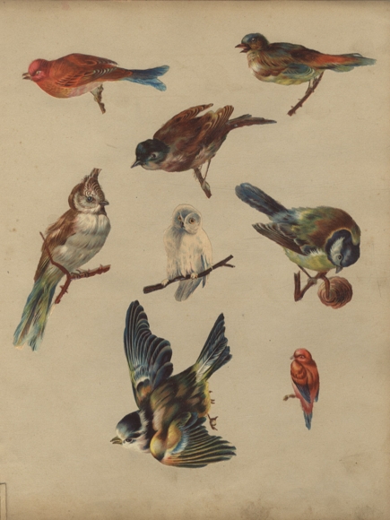 8 Oblaten heimische Singvögel, ca. 19 x 9 cm bis 5 x 2,5 cm