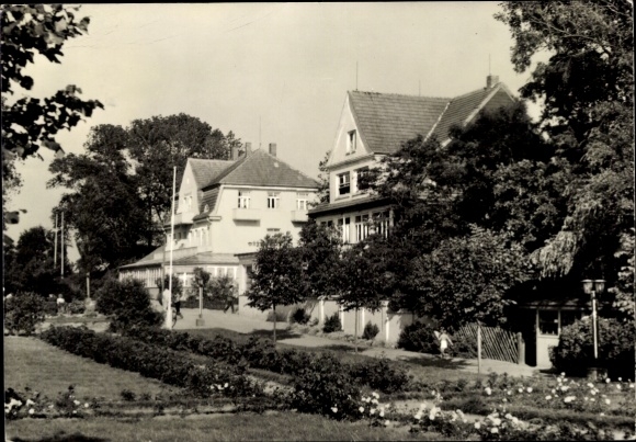Postcard Insel Poel Mecklenburg, villas, garden with flowers, trees, park view