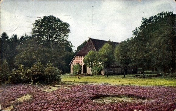 Ak Lüneburger Heide, Haus, Bäume, lila Blumenfeld, bewölkter Himmel