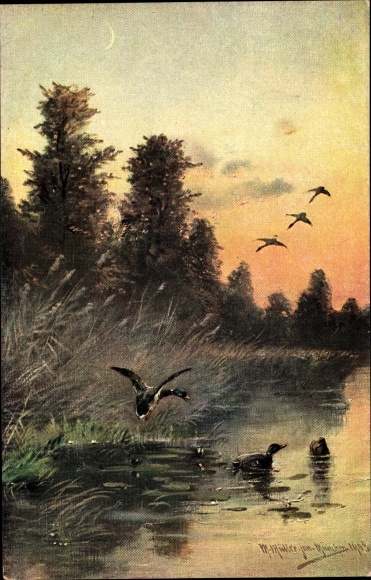 Artist PC Müller, M., ducks in the water