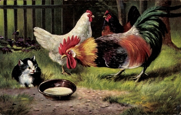 Artist Postcard Müller, August, Kitten at the feeding bowl with a rooster and chickens