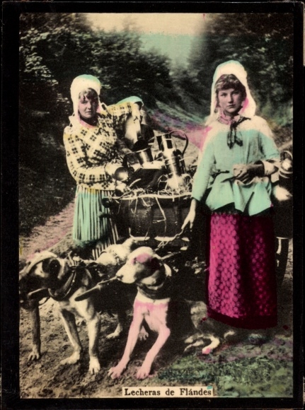 Photo Flanders Belgium, Lecheras de Flandes, milkmaid, draft dogs