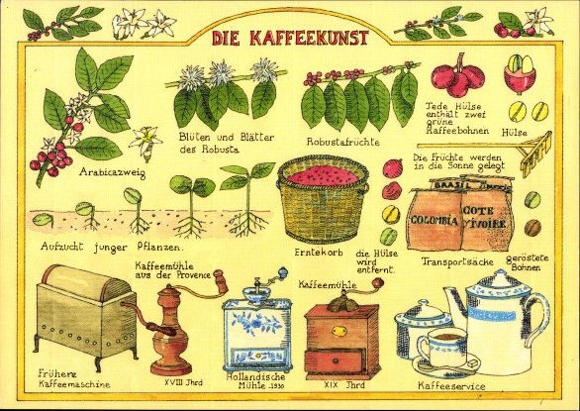 12 alte Ak verschiedene Ansichten, Kaffee und Gewürze