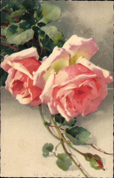 Artist PC Klein, Catharina, pink roses, Meissner &amp; book 2467