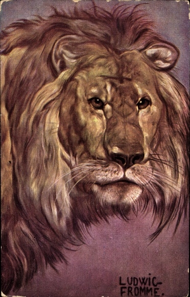 Artist Postcard Fromme, Ludwig, lion, animal portrait