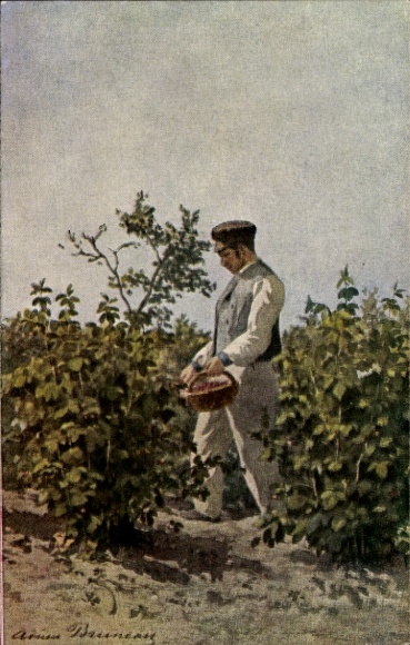 Artist Postcard Patriotic Women's Aid Association Hamburg, Red Cross, man at the harvest