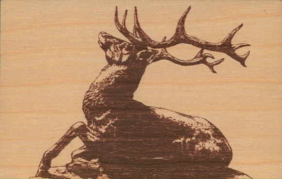 Holz Ak Hirsch, Geweih, Waldtier