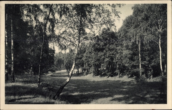 PC Dresden Hellerau Rähnitz, forest meadow