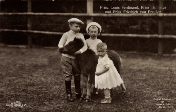 Postcard Prince Louis Ferdinand of Prussia, Prince Hubertus, Prince Friedrich, Pony