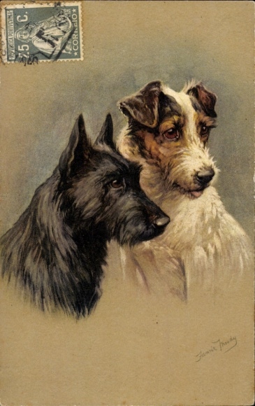 Artist Postcard dog portrait, two terriers