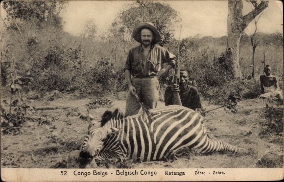Postal stationery PC Belgian Congo Zaire, Katanga, dead zebra, hunter, rifle