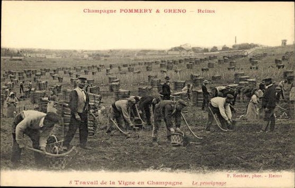 Set with 40 PCs Reims, Caves Pommery, envelope