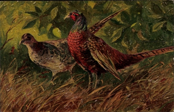 Artist PC Merker, W., pheasants