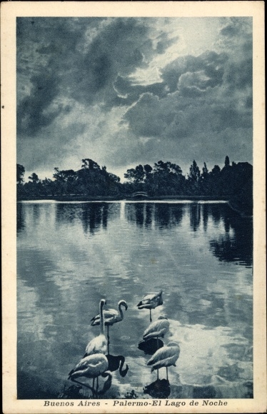 Postcard Buenos Aires Argentinien, Palermo The Lake at Night, Flamingos