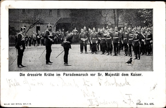 Postcard Berlin, The trained crow in the parade march in front of Kaiser Wilhelm II.
