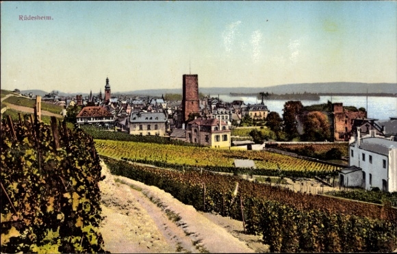 Ak Rüdesheim am Rhein, Stadtansicht von  Weinberge, Gebäude, Wasser im Hintergrund