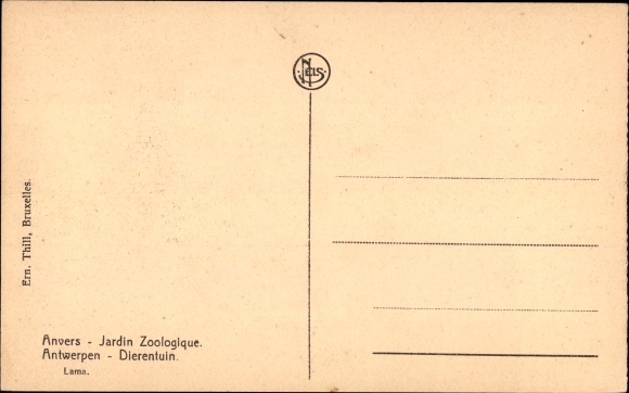 Postcard Anvers Antwerp Flandern, Jardin Zoologique, Zoo, Lamagehege