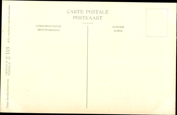 Artist Postcard Dupond, Hub., Falco columbaris aesalon, Merlin