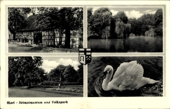 Ak Marl im Ruhrgebiet,  Heimatmuseum, Volkspark, See, Schwan