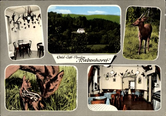Ak Bad Soden Salmünster in Hessen, boscafé Rabenhorst, edelhert, logeerkamer