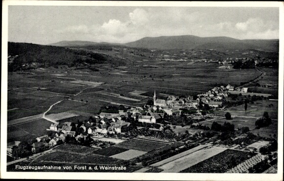Postcard Forst an der Weinstraße Pfalz, aerial photograph, vineyards, village view, mountain landscape