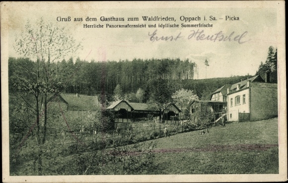 Ak Picka Oppach in Saksen, Gasthaus zum Waldfrieden, weide