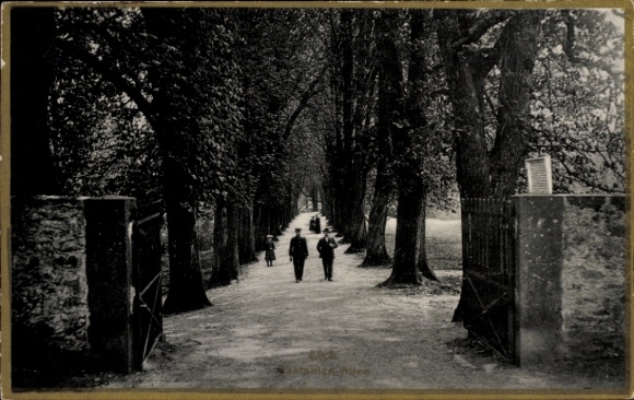 Postcard Lich in Hesse, Kastanien-Allee