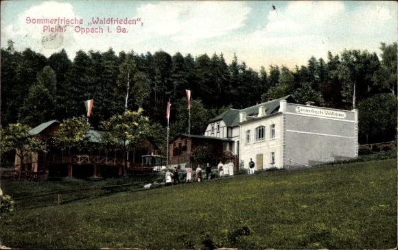 Ak Picka Oppach in Oberlausitz, Waldfrieden