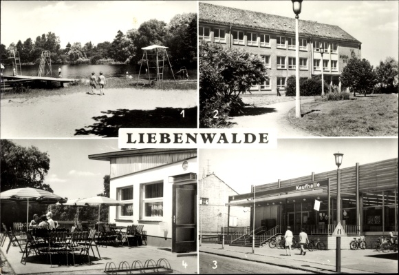 Postcard Liebenwalde in Brandenburg, Mühlensee, Werner-Seelenbinder-Oberschule, Zehdenicker Straße