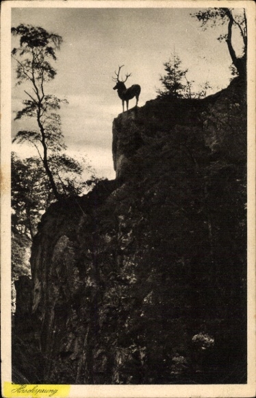 Postcard Buchenbach in the Black Forest, Hirschsprung in the Höllental